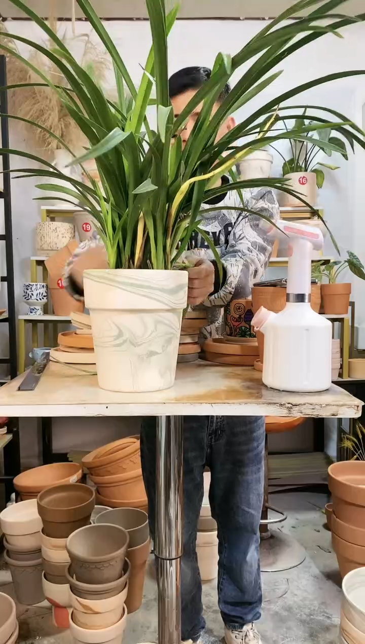 【闪购商品】红陶18*21绿白陶反比例 1盆无托