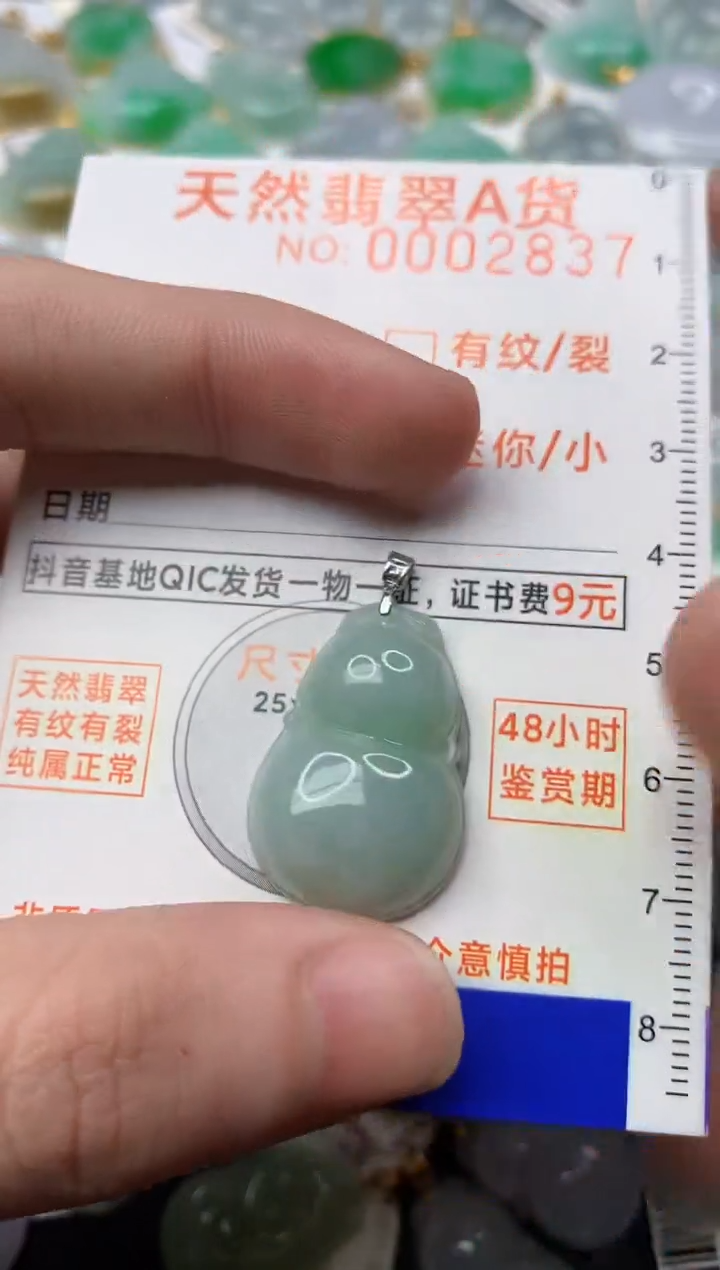 【闪购商品】翡翠颈饰18K金镶嵌5.............