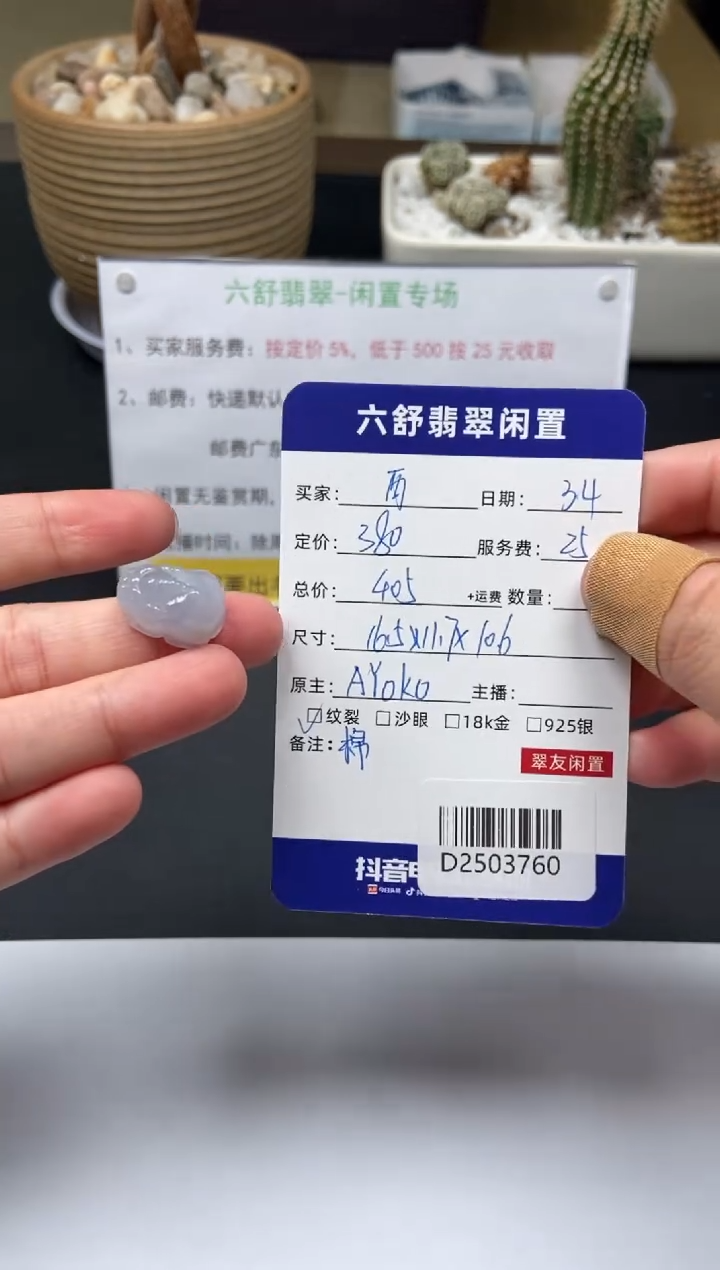 【闪购商品】翡翠颈饰未镶嵌D2503760