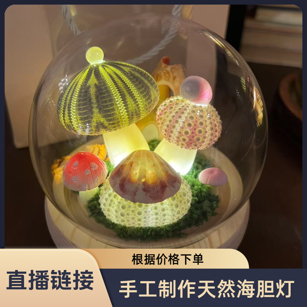  【直播链接】贝壳海胆灯氛围灯装饰灯中古设计灯具摆件新年礼品