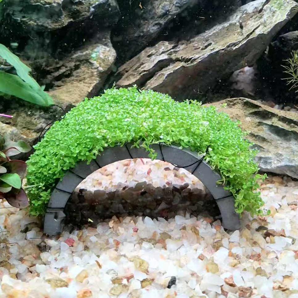 【新品瓦片水草】拱桥造型水草新手懒人水草鱼缸造景无需底沙入缸