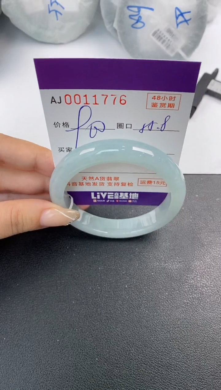 未镶嵌手镯翡翠天然A货翡翠