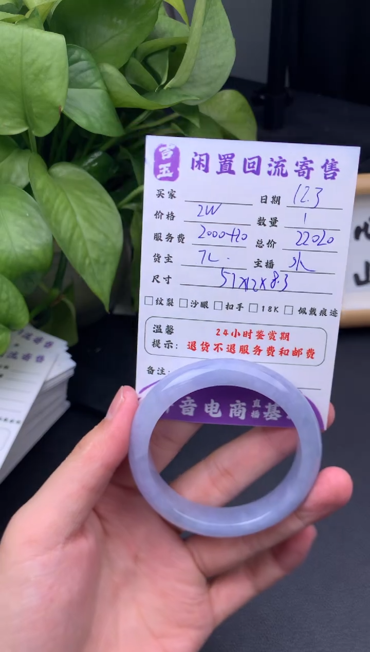 未镶嵌手镯翡翠手镯