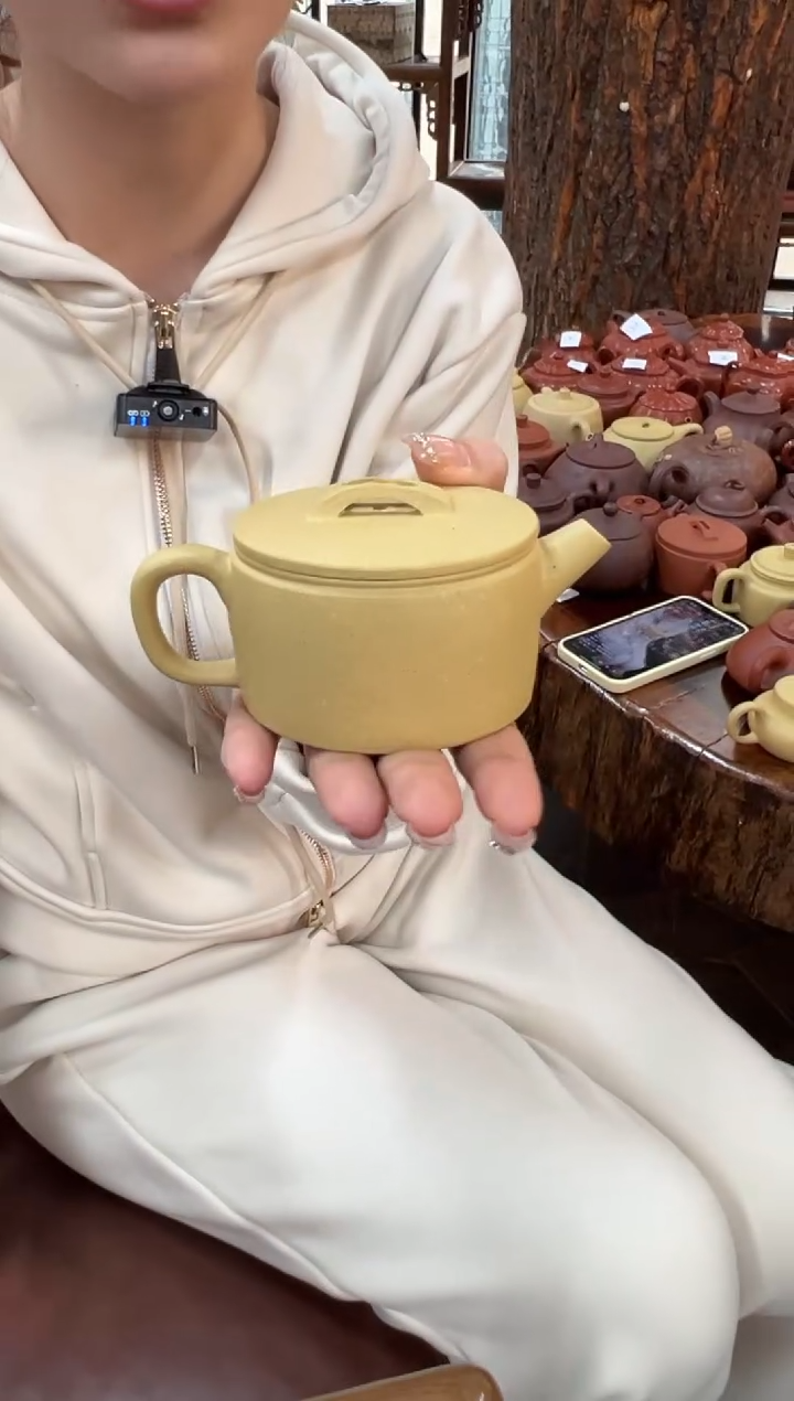 【闪购商品】紫砂茶壶【头哥手工壶】汉瓦本绿