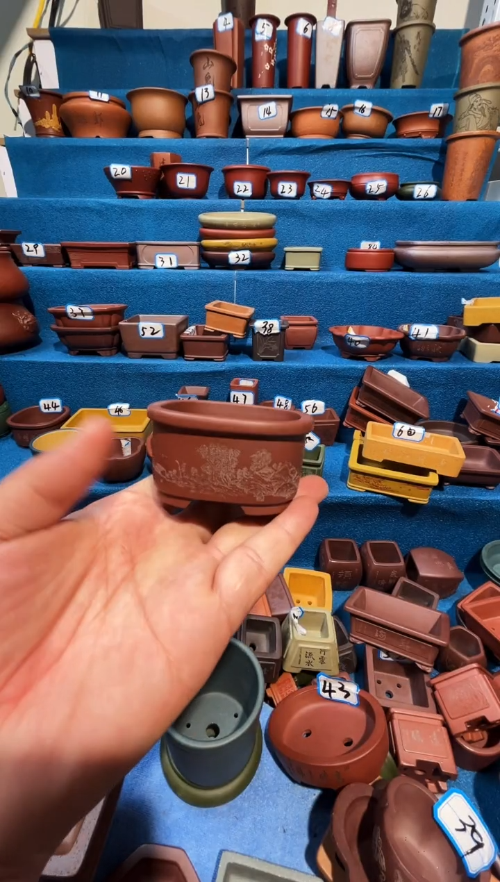 【闪购商品】紫砂紫砂花盆6.5*3