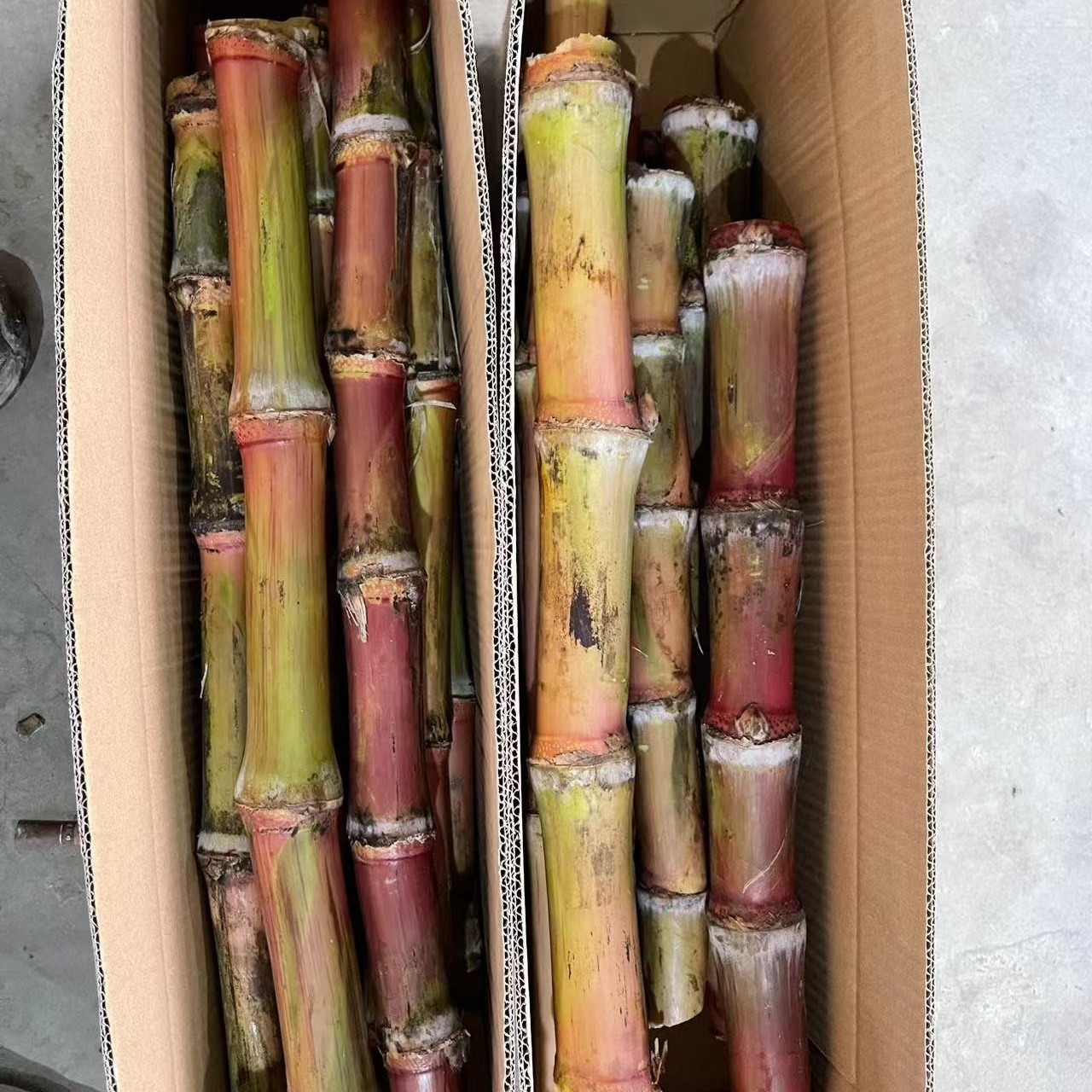 云南红皮脆皮甘蔗现砍现发脆甜多汁农家自种坏果包赔