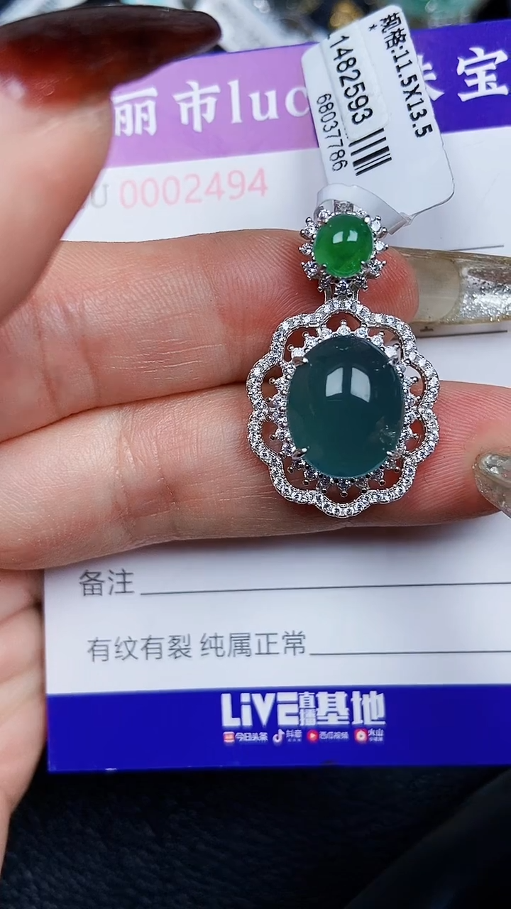 颈饰银S925镶嵌翡翠2494