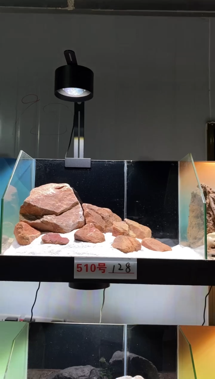 510号鱼缸造景（不含底砂）