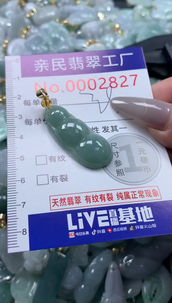 颈饰未镶嵌翡翠2827