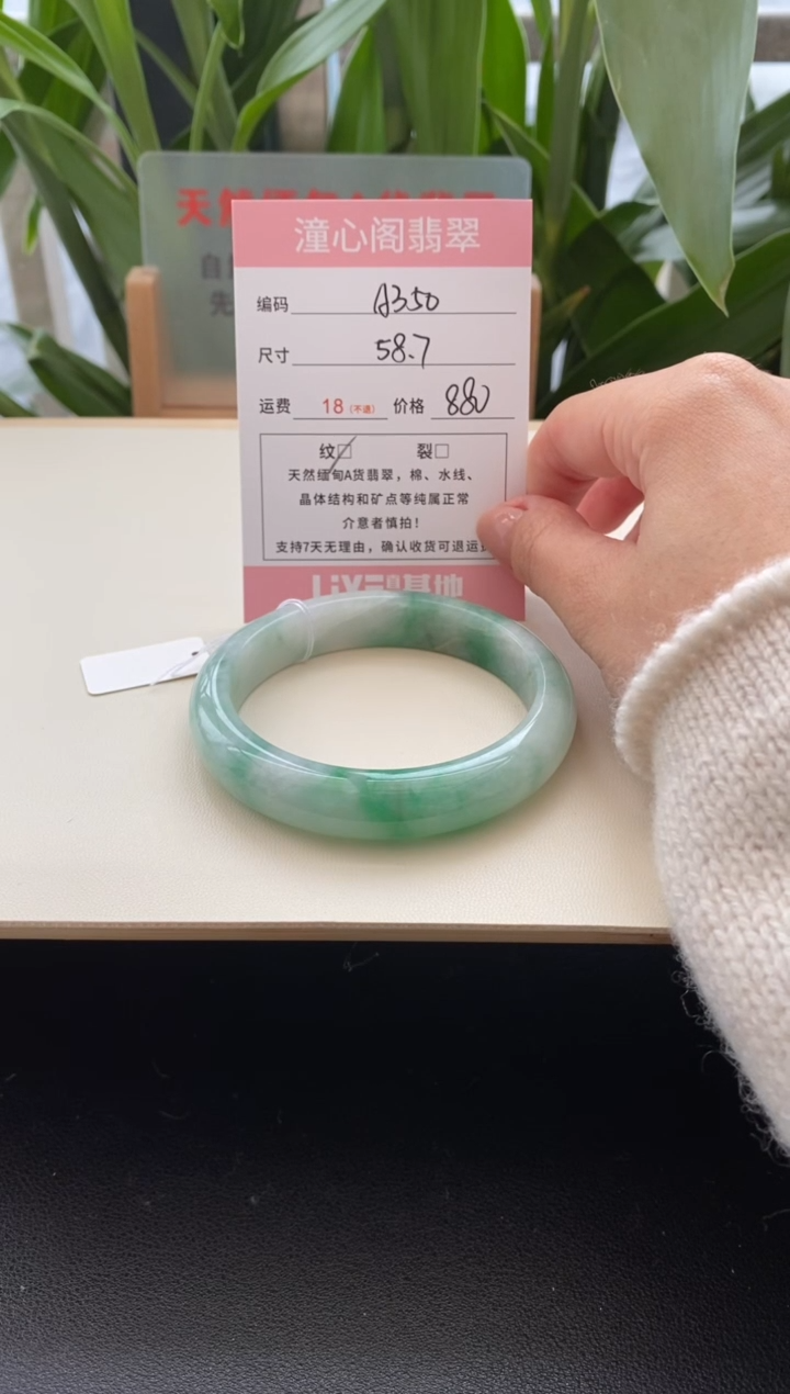 未镶嵌手镯翡翠58.9圈口编码a350