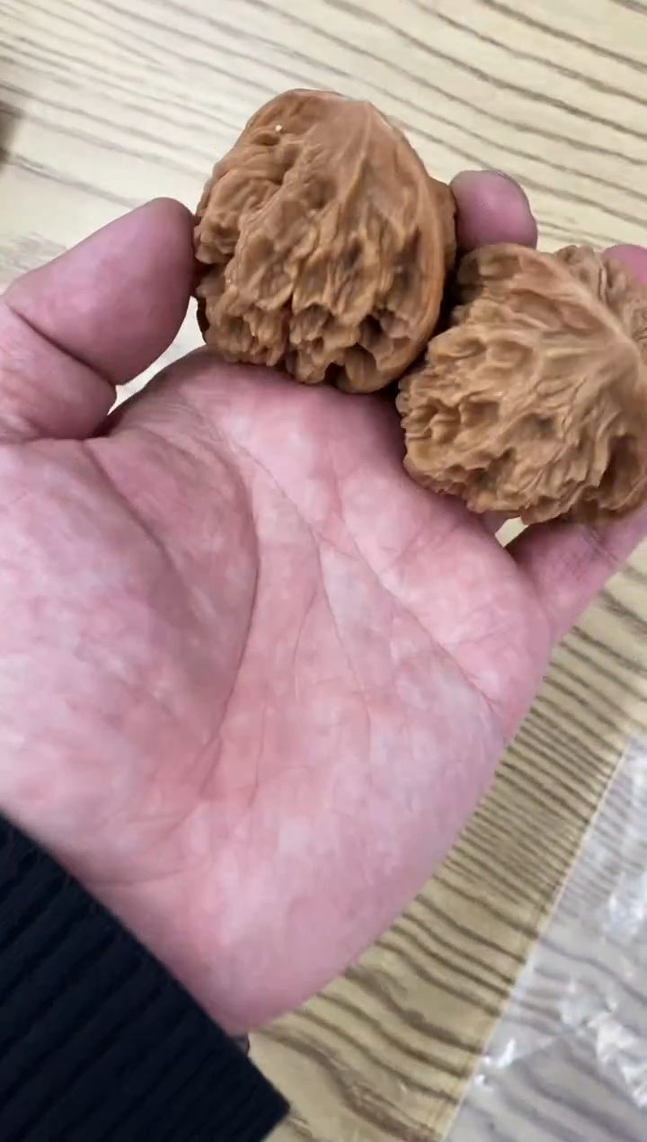 把件核桃哥们福利【帝王狮子头】无修AAA#529887