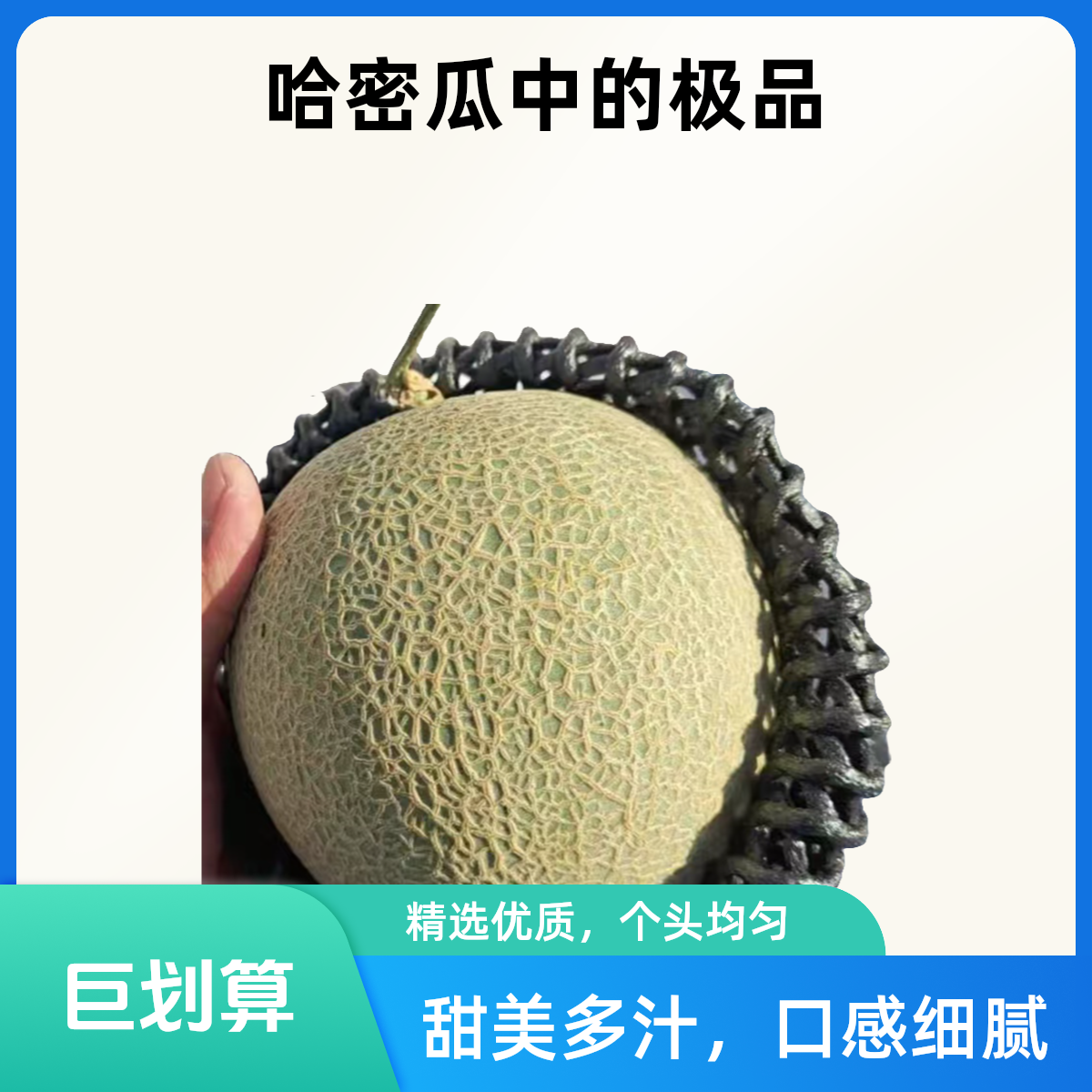 海南一级玫珑网文瓜 单粒 1.8-2.5斤 ，软糯爽口，散发出清淡怡人的混合香气 