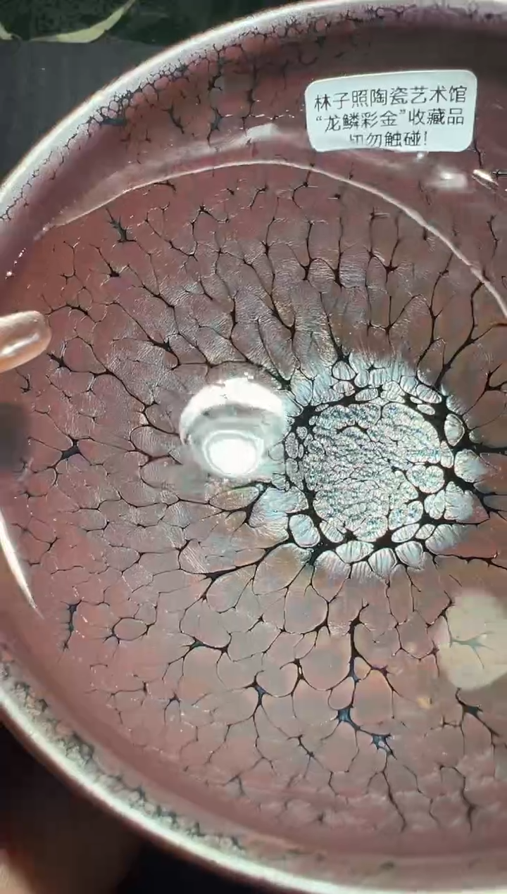 【闪购商品】茶盏24@建窑建盏林子照