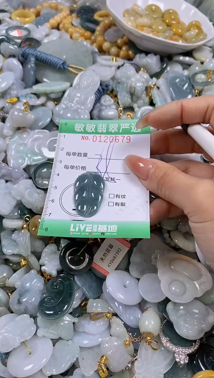 【闪购商品】翡翠颈饰未镶嵌闪购0120679