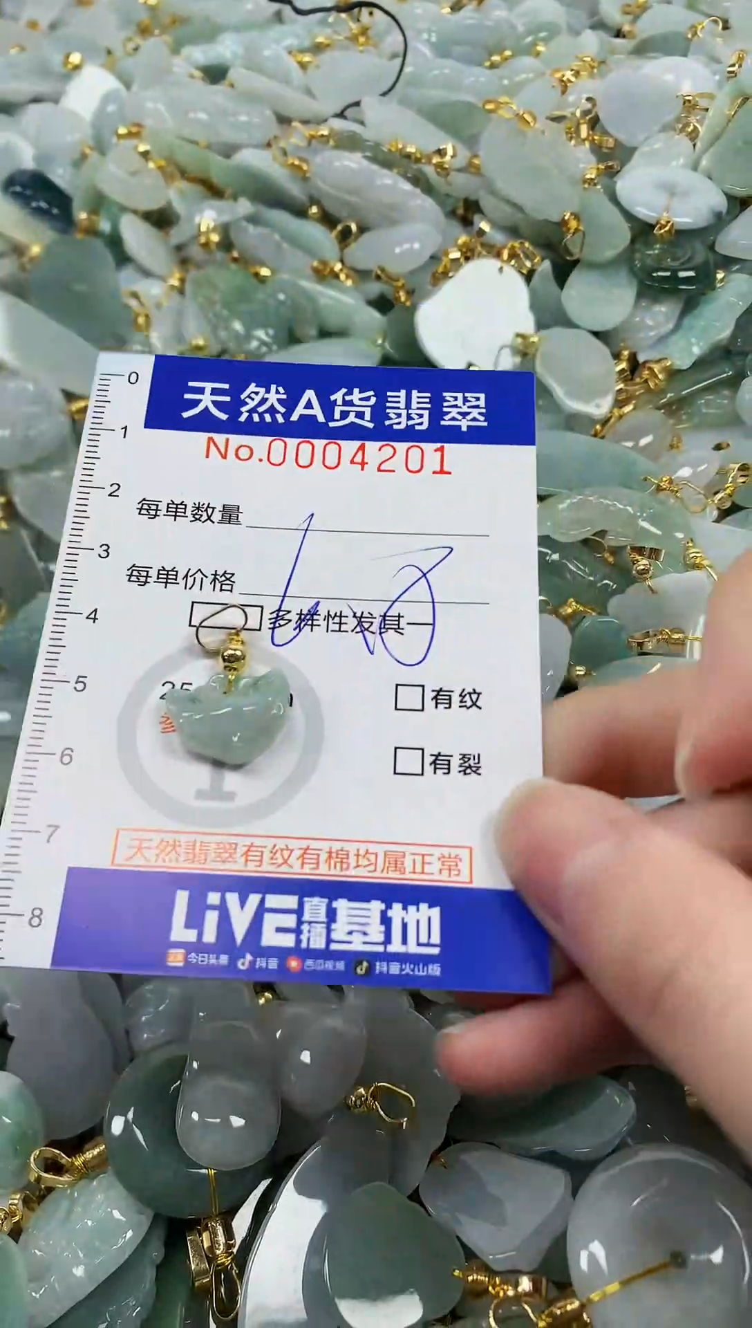 颈饰未镶嵌翡翠纯天然a货翡翠