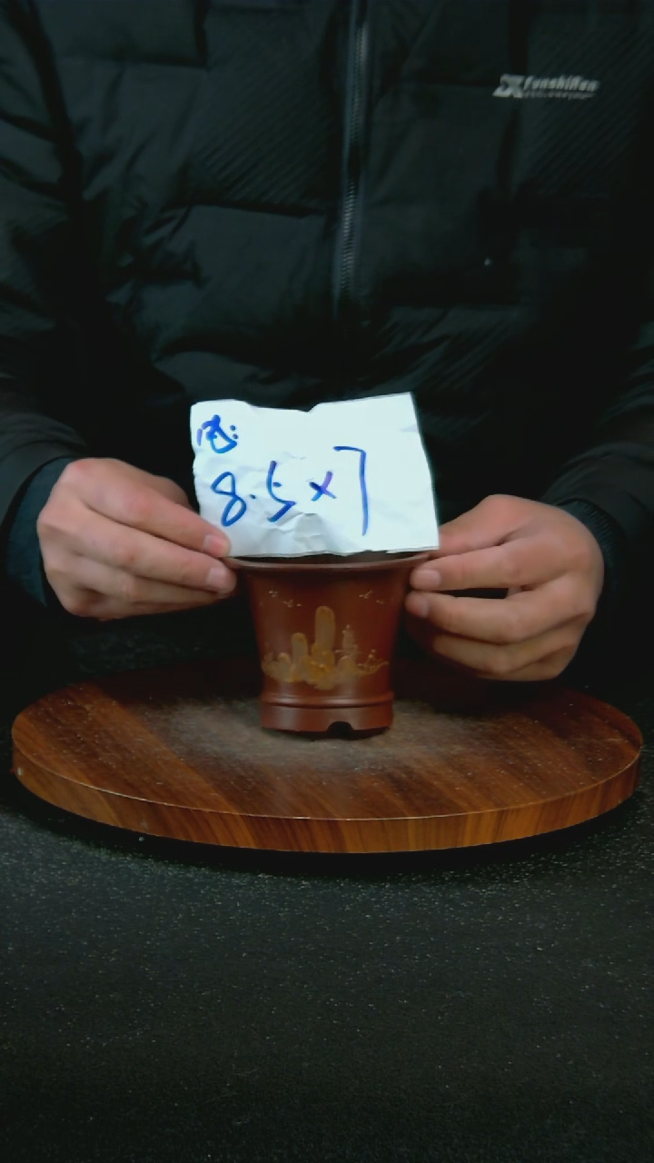 【闪购商品】紫砂F99