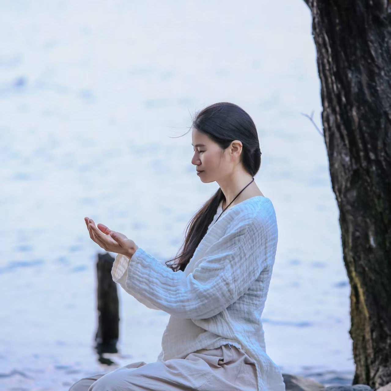 终身链接高级身心疗愈禅拍师心法课