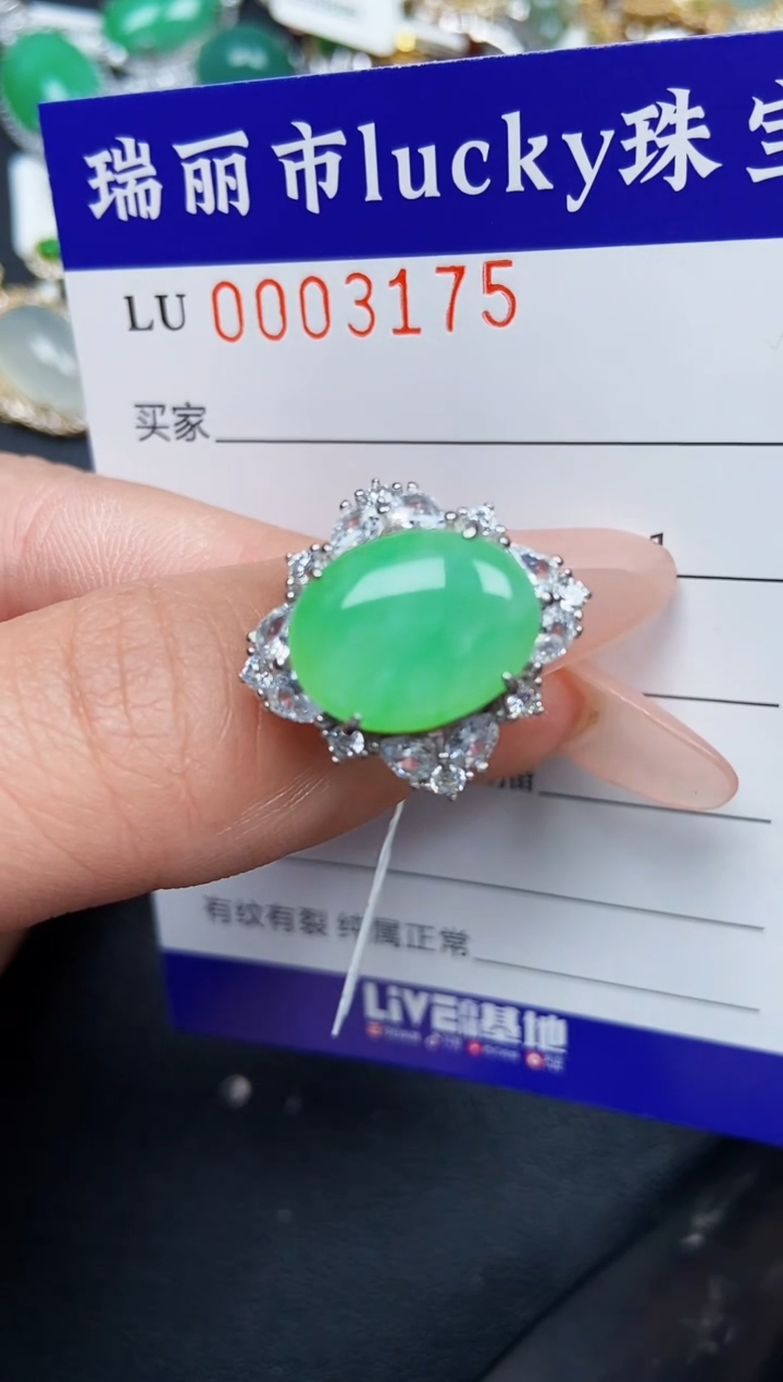 【闪购商品】翡翠颈饰银S925镶嵌3175