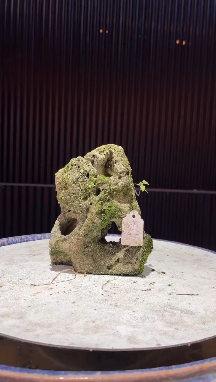 造型吴定石一物一拍专属