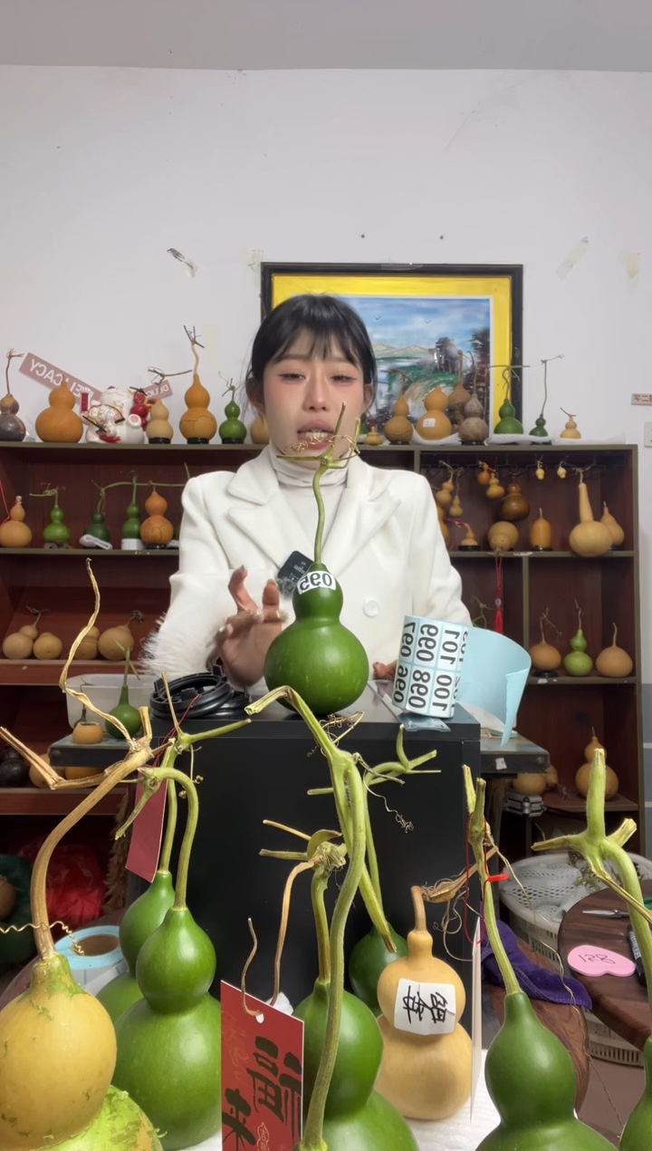 095天然葫芦摆件 一物一拍龙头不保售后