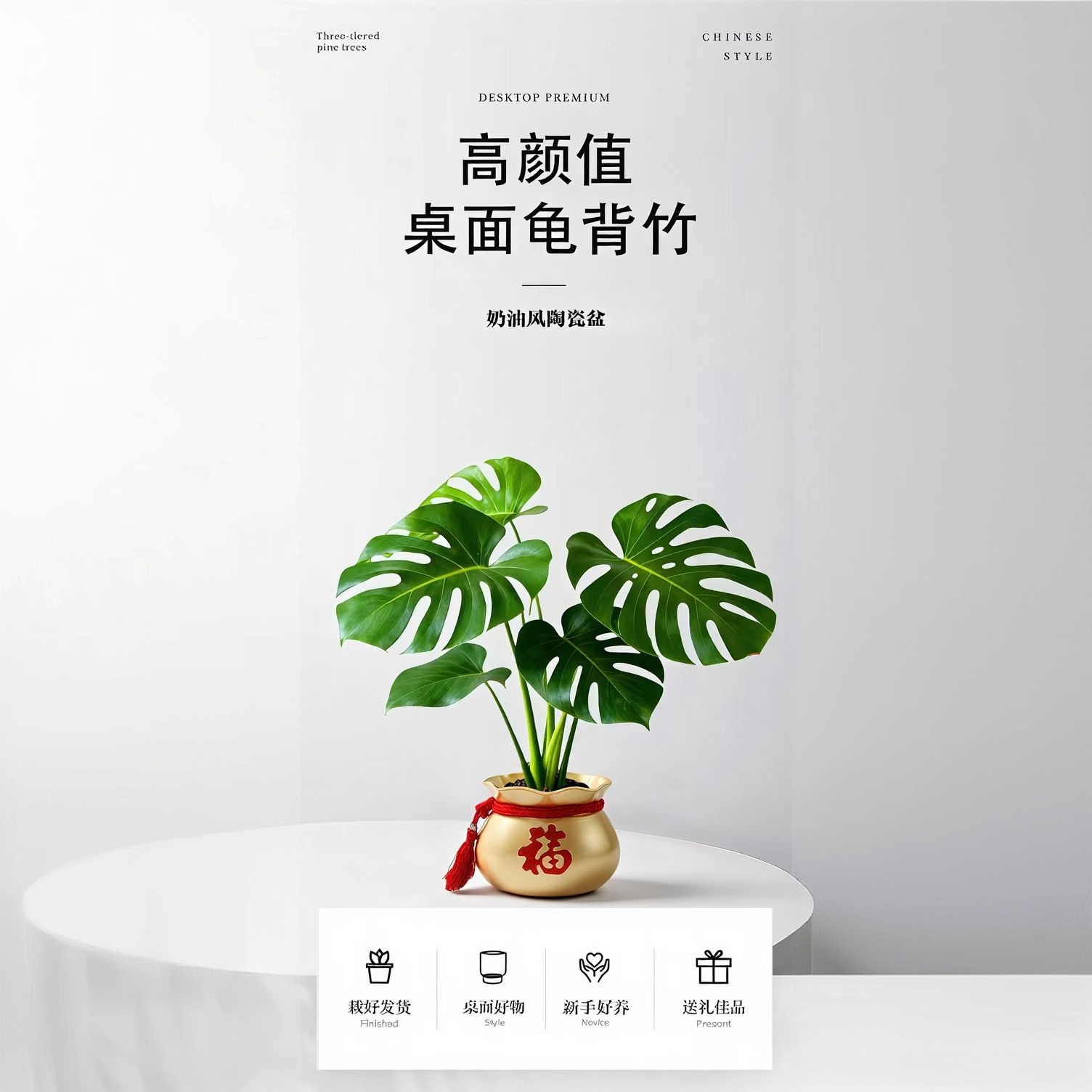 桌面款老桩根一叶龟室内水培土培净化空气耐阴观叶绿植