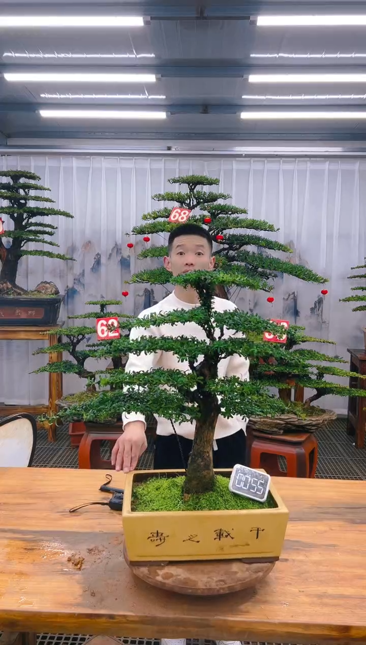 【闪购商品】紫砂精品盆景直播间一物一拍