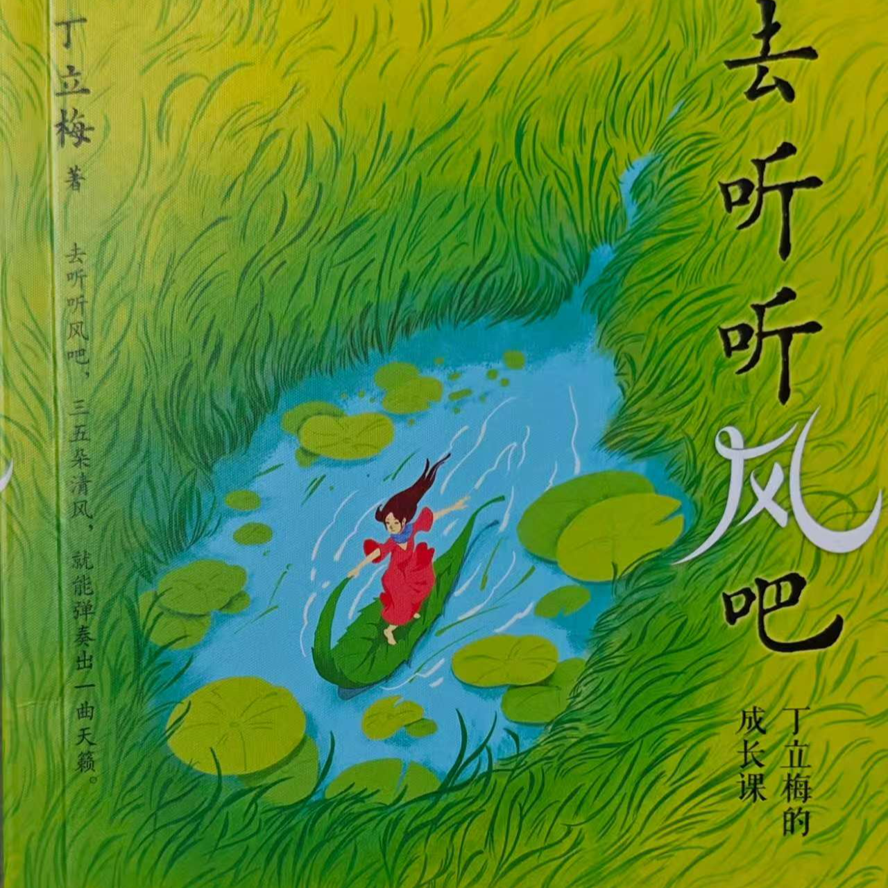 去听听风吧 丁立梅的成长课 五十余封书简二十条问答散文书籍