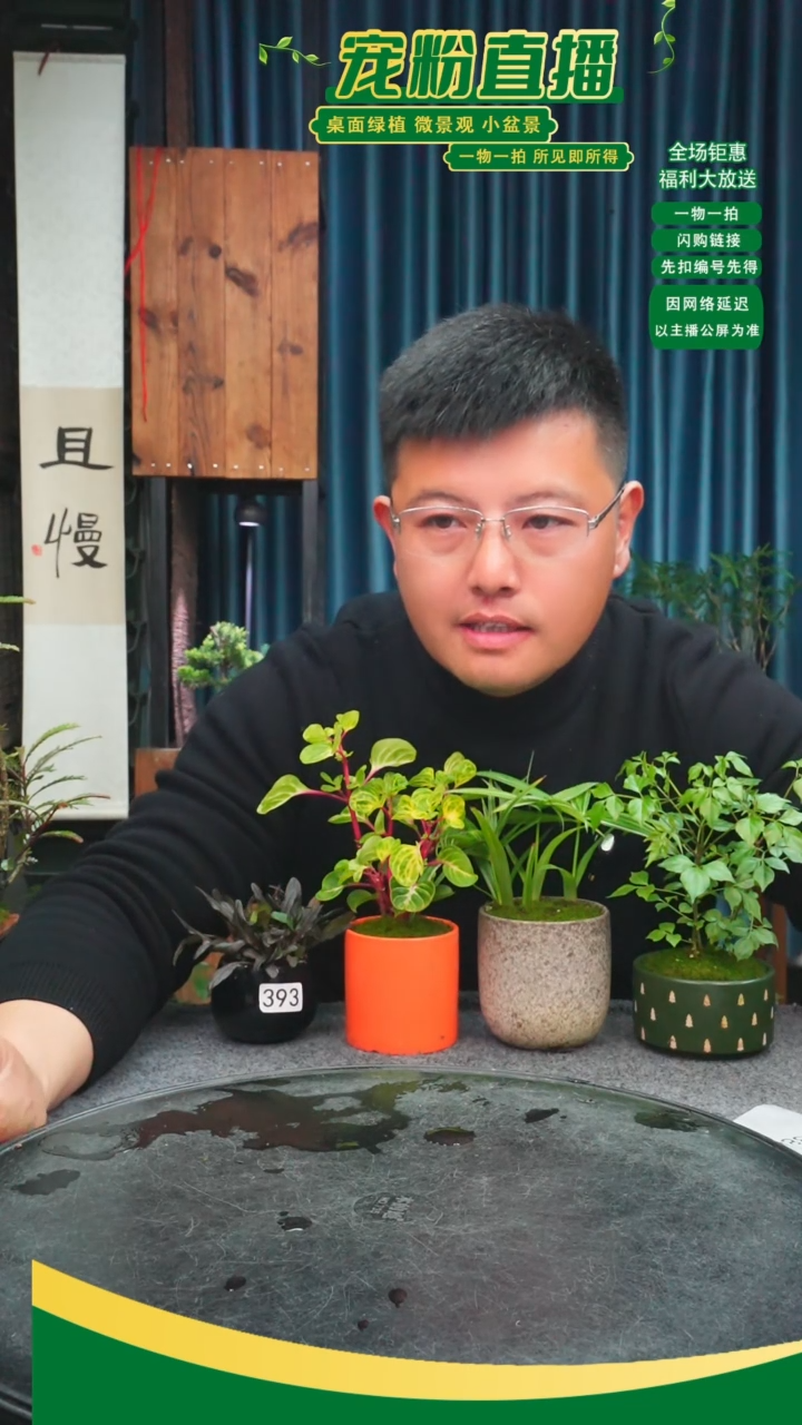 无花朵哎**去苔藓微景观393号