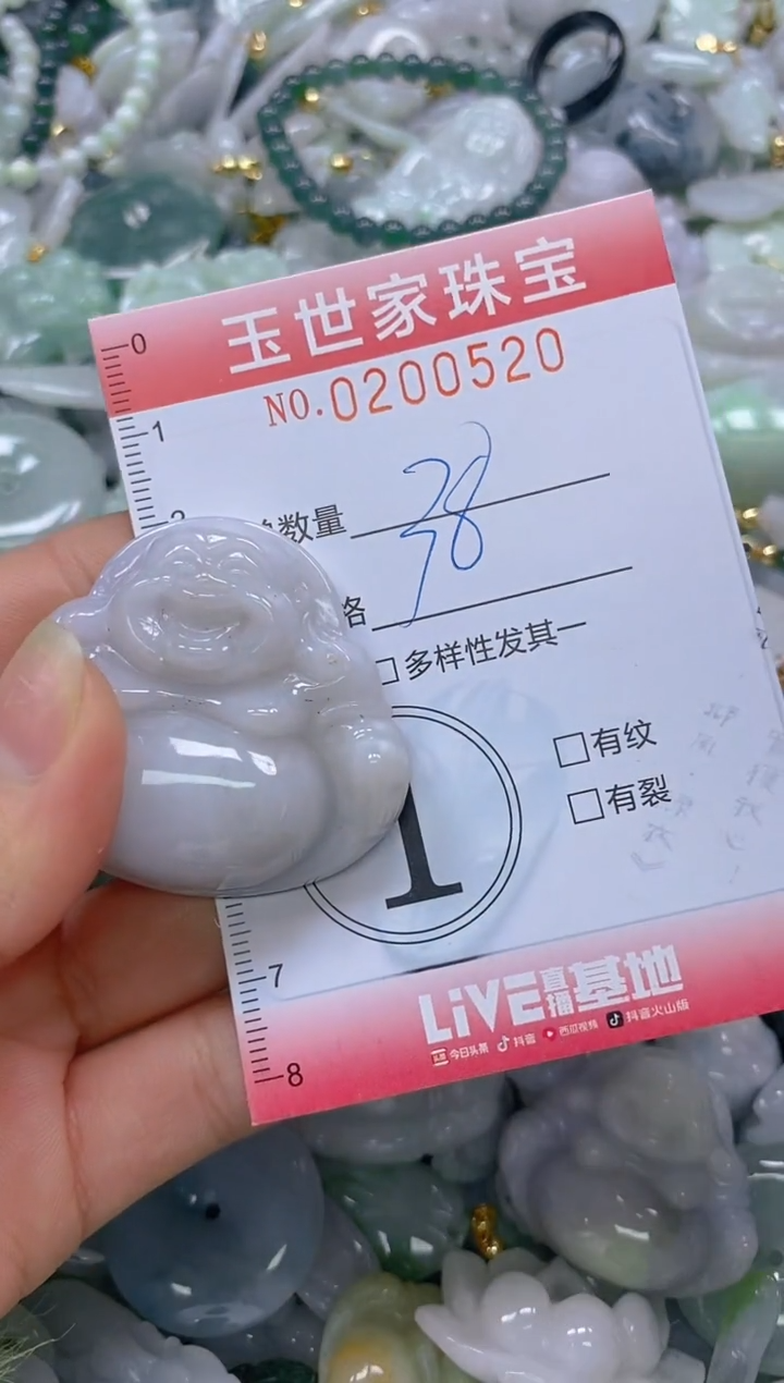 【闪购商品】翡翠颈饰未镶嵌闪购0200520