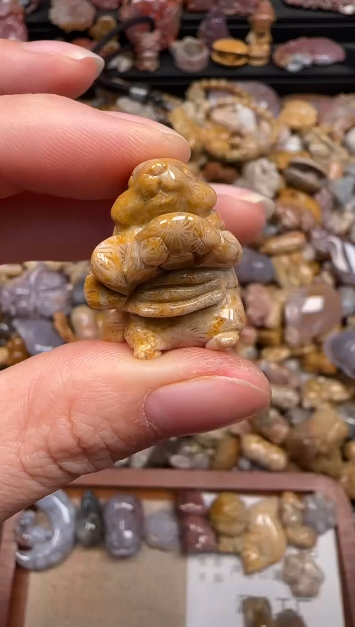 硅化珊瑚（珊瑚玉）未镶嵌颈饰102