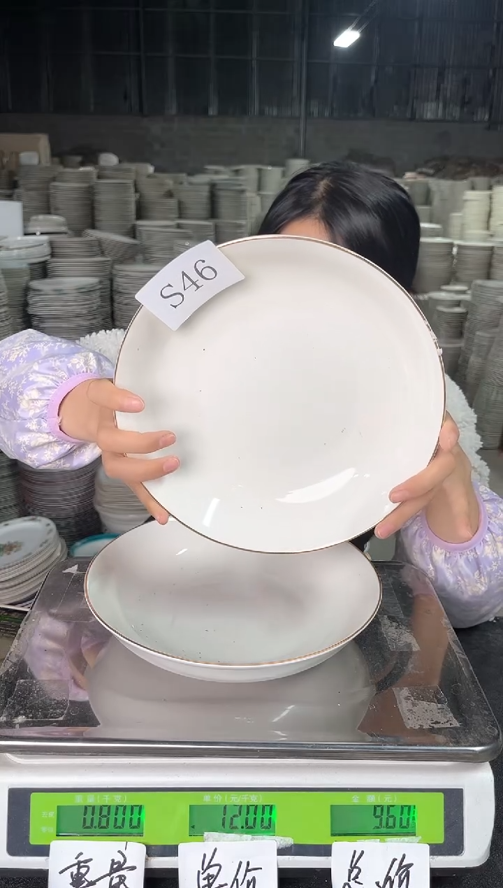 【闪购商品】瓷S46  8.5英寸 2个