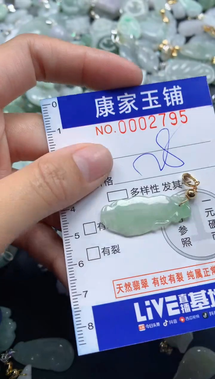 颈饰未镶嵌翡翠2795