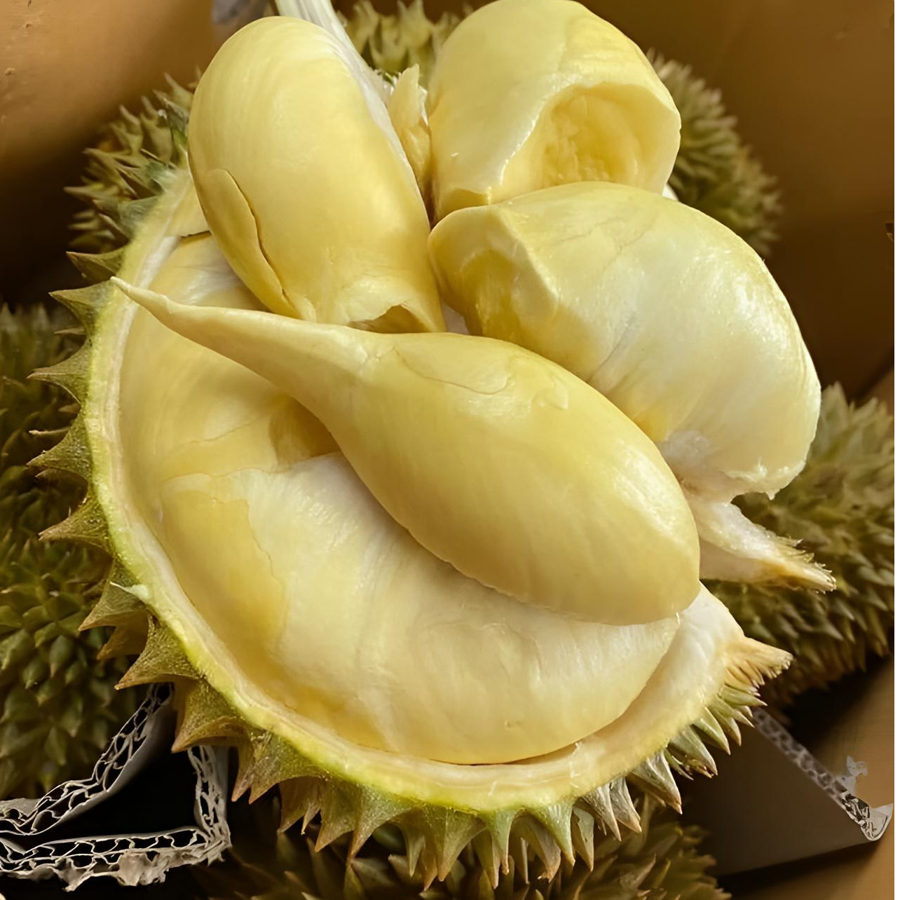 【一果一拍】泸州市区配送到家/泰国金枕/鲜榴莲/纯肉/核小肉厚/500g-2000g/鲜果/闻香味美榴莲同城配金枕泰国