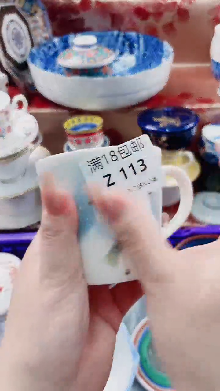 用****9Z113***************