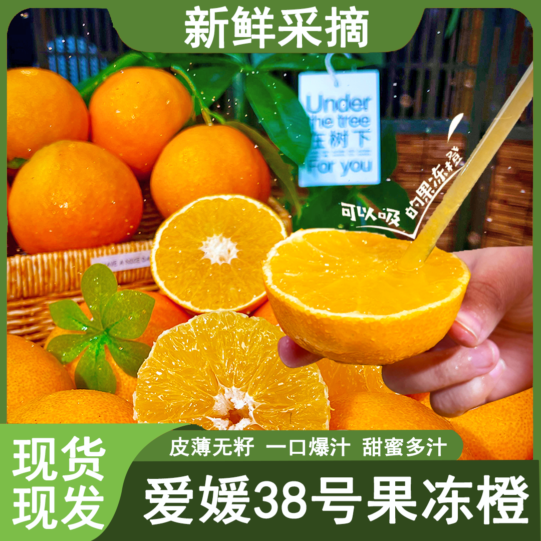 2025年头茬爱媛38号果冻橙新鲜采摘皮薄肉厚香甜爆汁产地直发