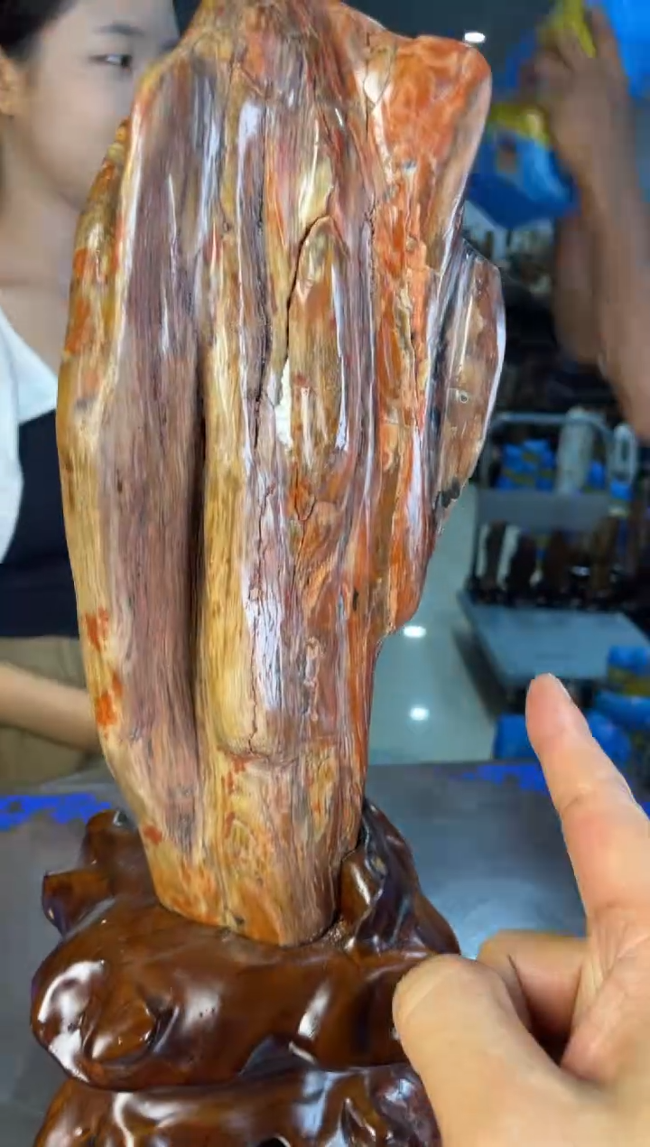 未镶嵌摆件硅化玉31