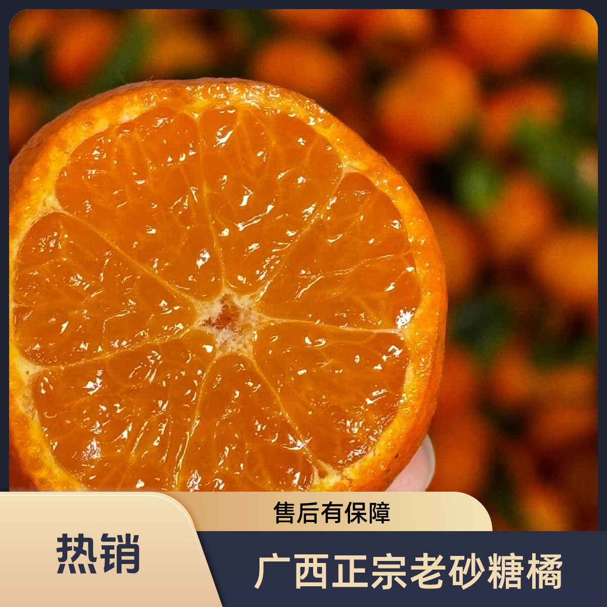 【京东顺丰包邮】广西桂林砂糖橘皮薄肉厚汁多正宗老沙糖桔新鲜采摘果园直供广西壮族自治区