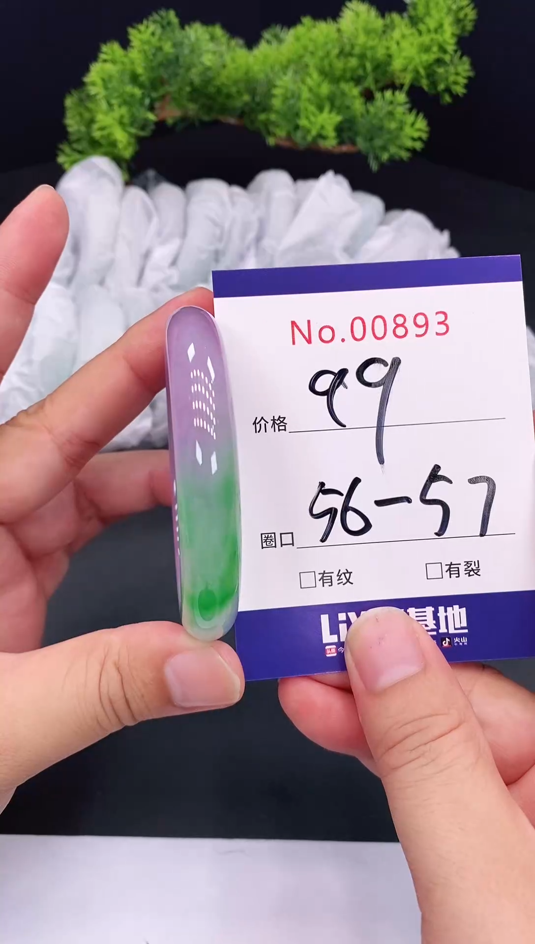 未镶嵌手镯翡翠0893