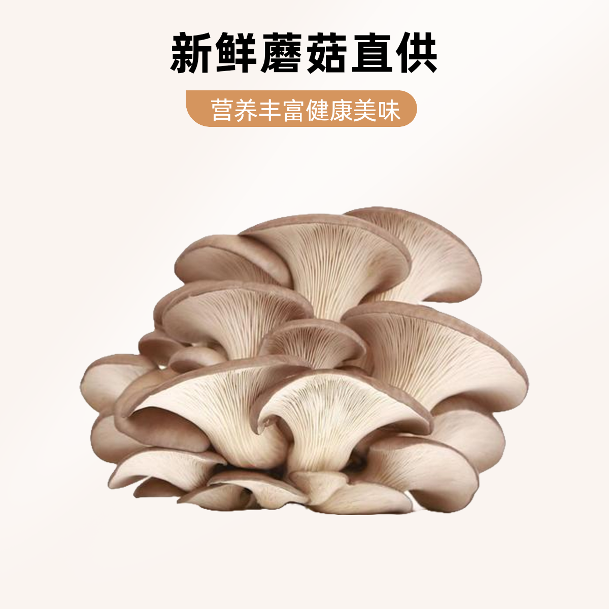  新鲜片蘑菇500g±50g份