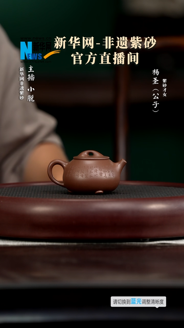 茶壶紫砂YSS100杨圣憨瓢（张）底槽清120c