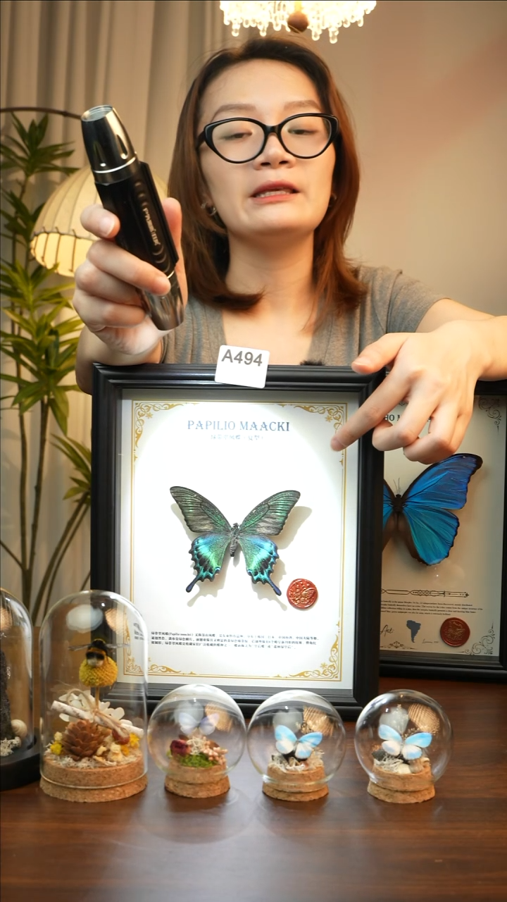 绿带翠凤蝶夏款-英文(10寸欧式黑框）A494