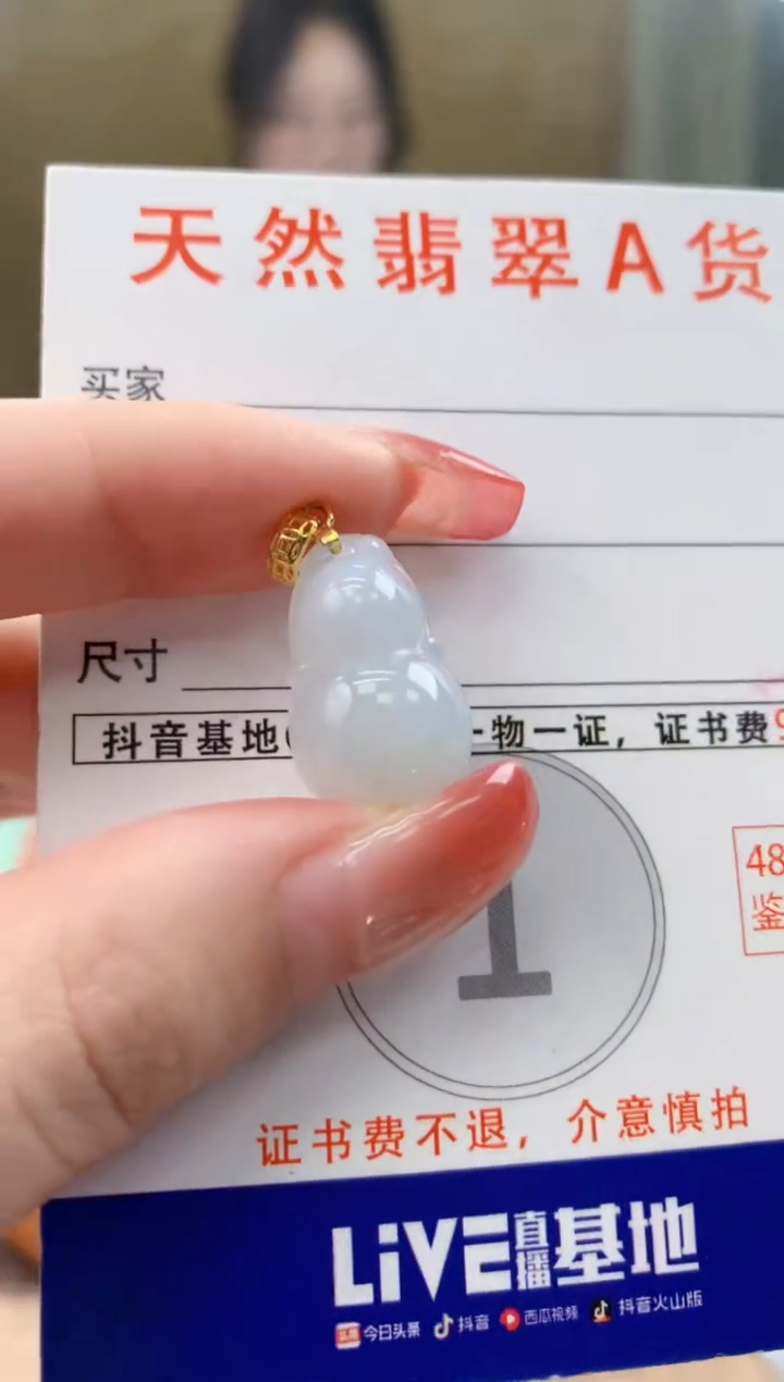 颈饰未镶嵌翡翠 天然A货翡翠挂件