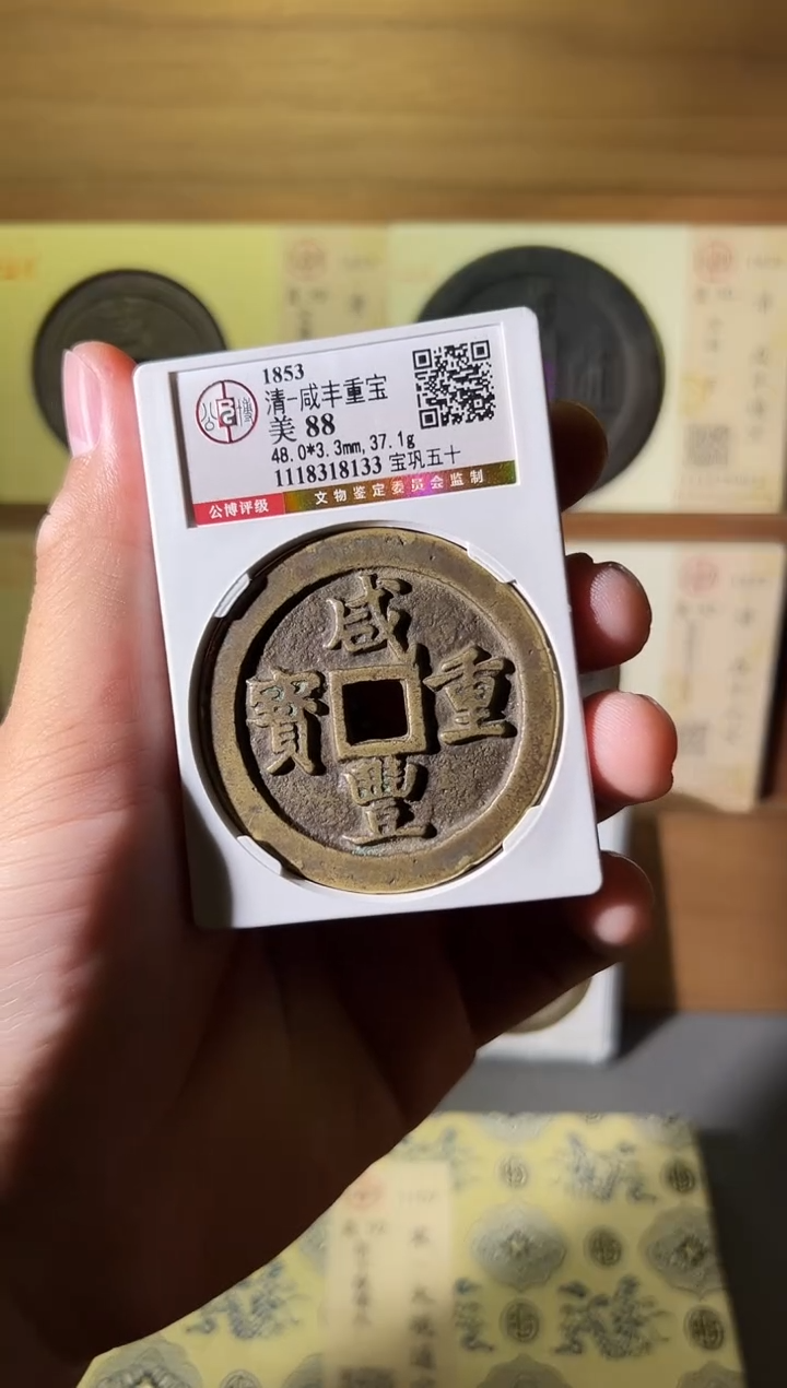 铜C***风11111111111