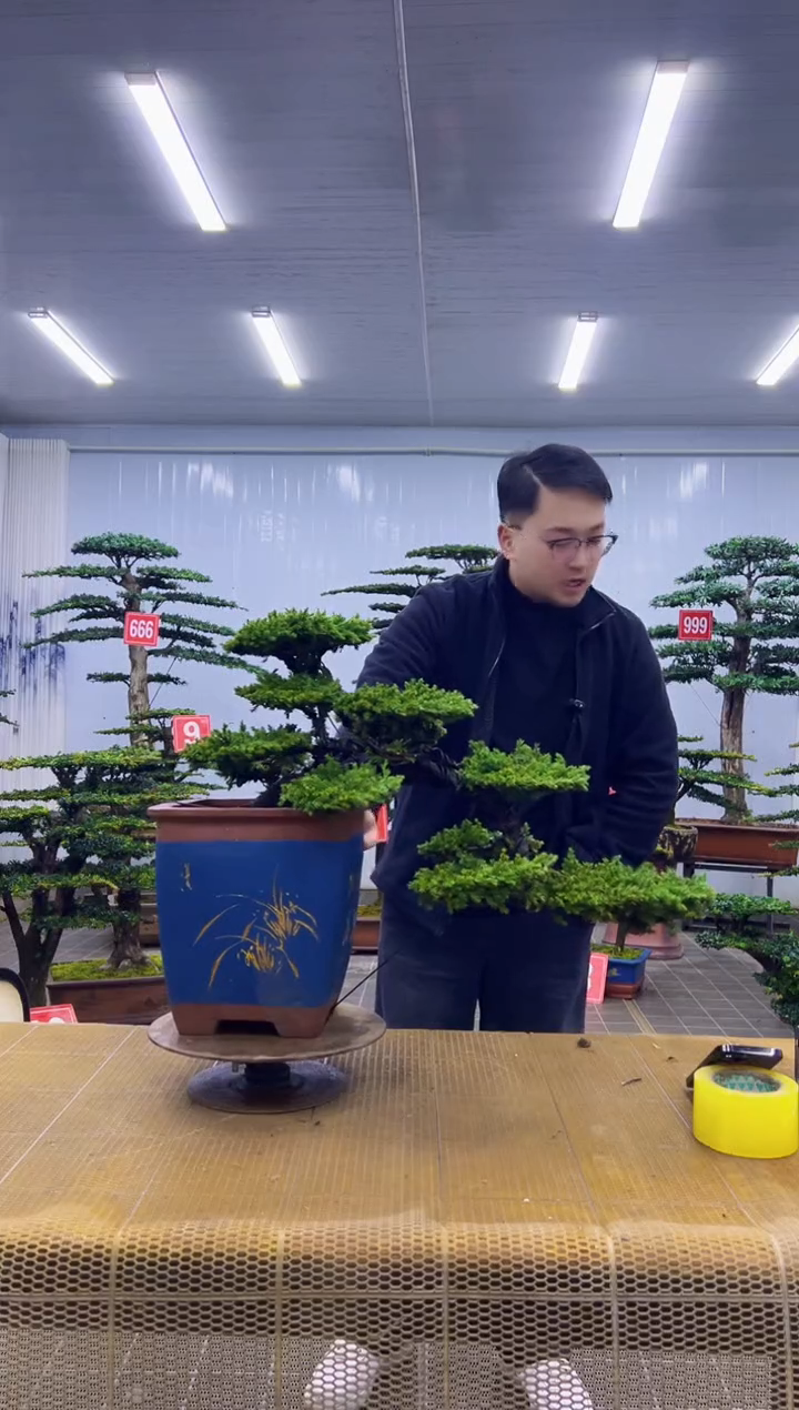 无花朵000000000000000000