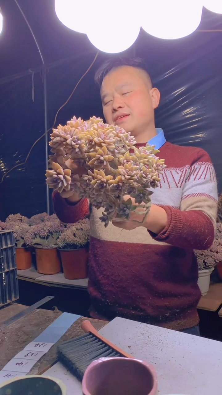 【闪购商品】缀化137