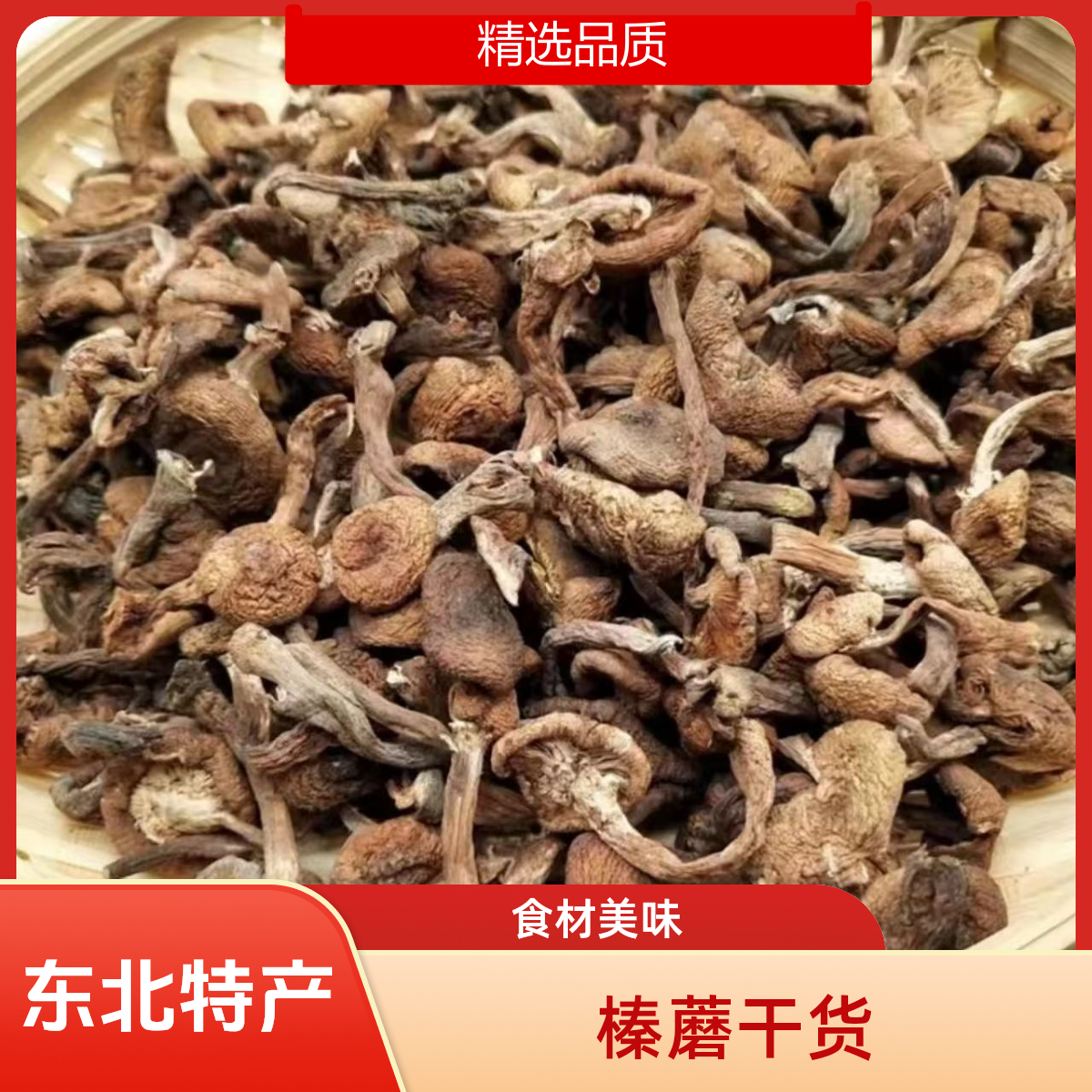 东北特产榛蘑.小鸡炖蘑菇干货自然晾晒食材