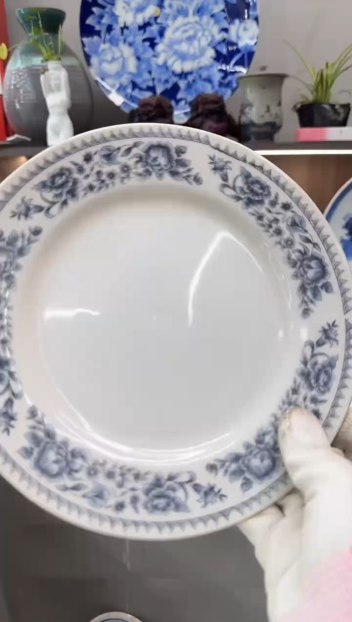 碟易碎品瓷器瓷器瓷器