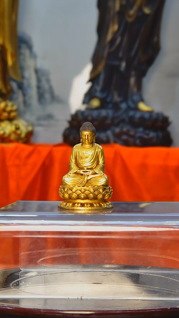 【闪购商品】佛佛佛佛佛佛佛佛佛佛佛佛佛