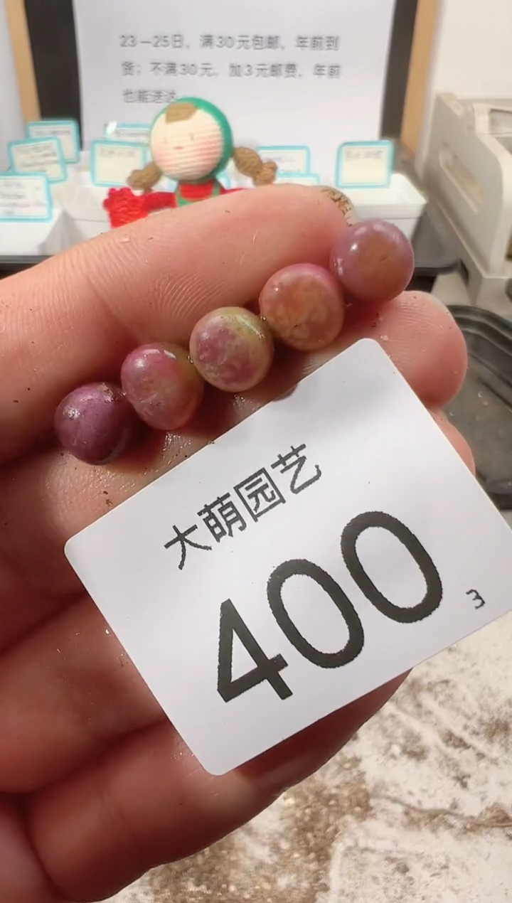 【闪购商品】++++400