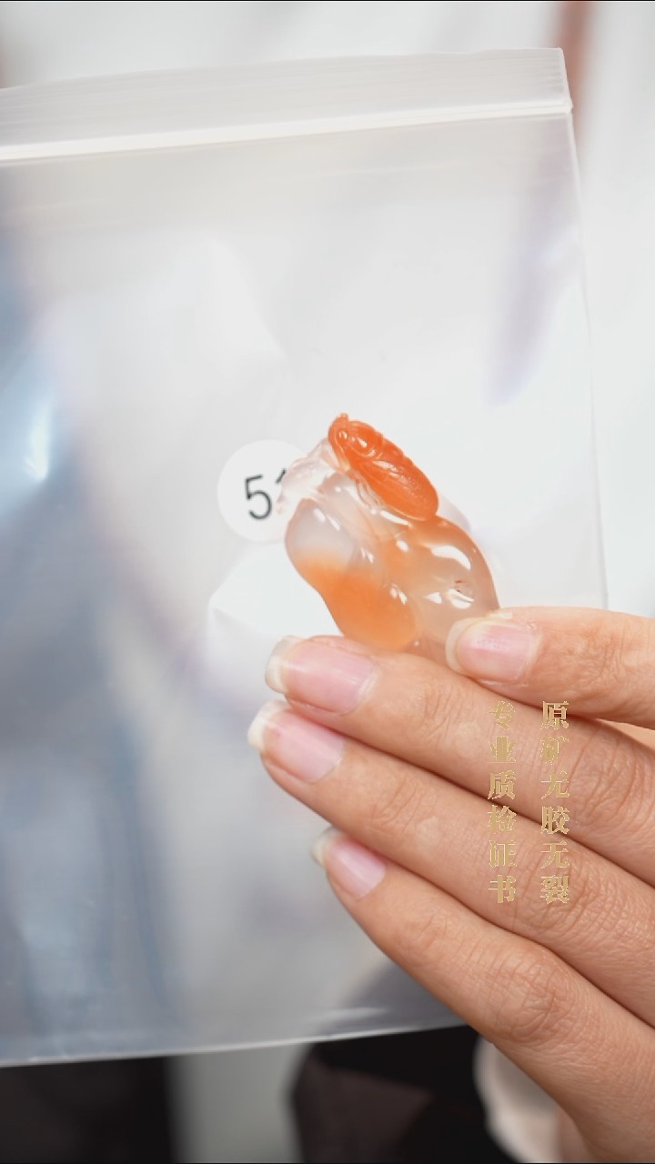 颈饰未镶嵌南红玛瑙原矿无优化无胶裂+吊坠